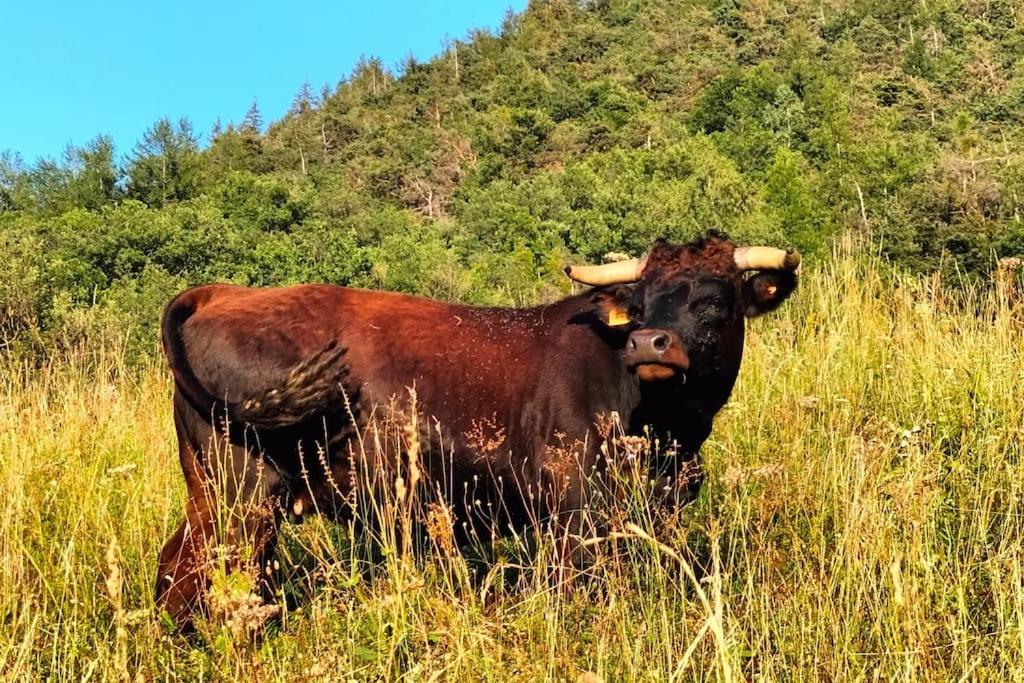 Appartamento Di Montagna Lo Grop Chambave Exteriér fotografie